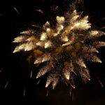sylvester, fireworks, new year's day